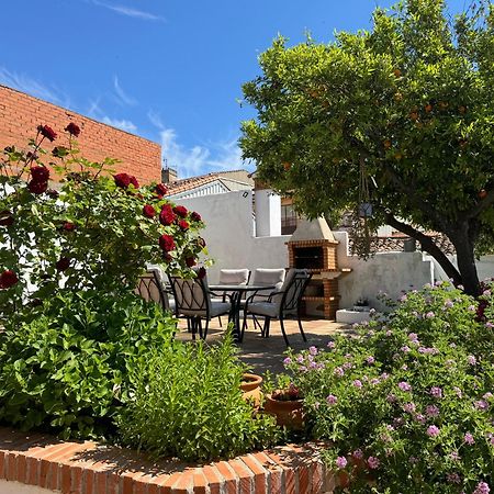 El Patio De Los Naranjos 瓜达卢佩 外观 照片